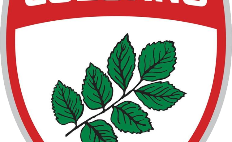 Rugby Colorno