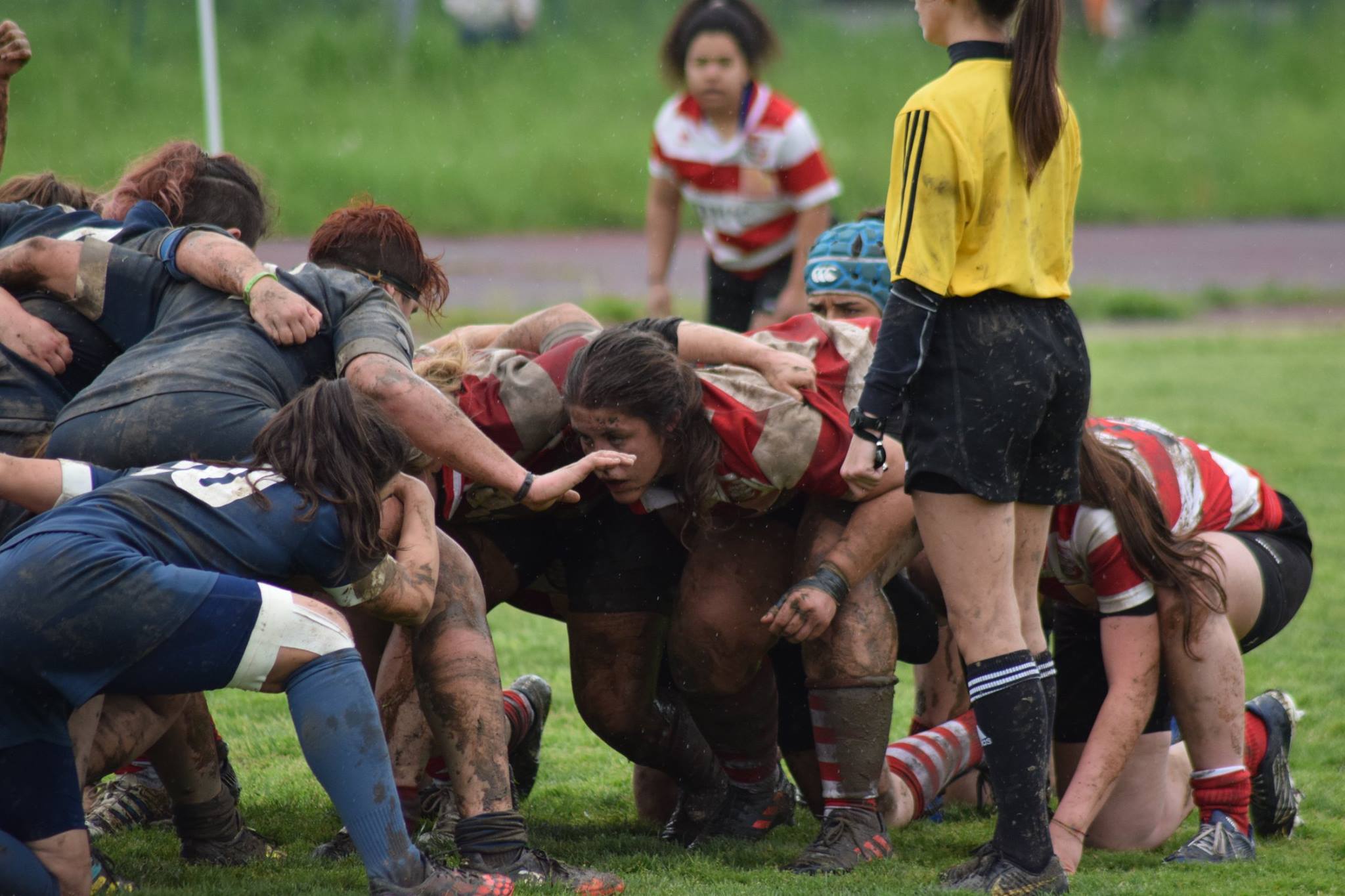 Le Ringhio, Seniores femminile  perdono in casa con il Torino, ormai saldamente al 4 posto in classifica .